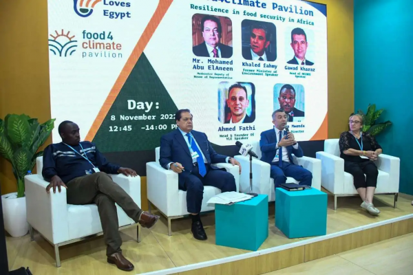 parliament-deputy-speaker-mp-mohamed-abou-el-enein-1668268002-0