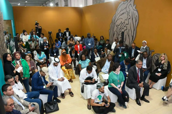 parliament-deputy-speaker-mp-mohamed-abou-el-enein-1668268333-3