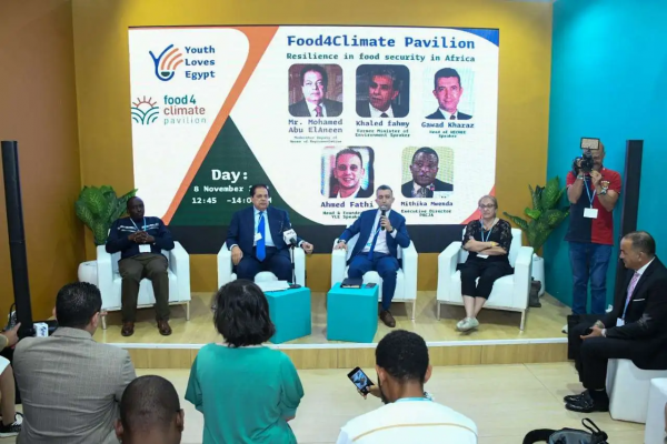 parliament-deputy-speaker-mp-mohamed-abou-el-enein-1668268334-7