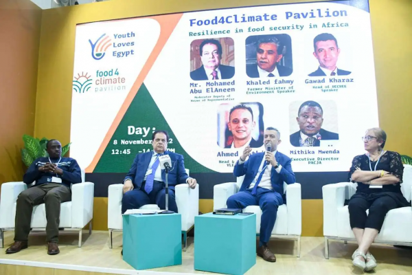 parliament-deputy-speaker-mp-mohamed-abou-el-enein-1668268335-8