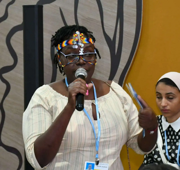 parliament-deputy-speaker-mp-mohamed-abou-el-enein-1668268336-17