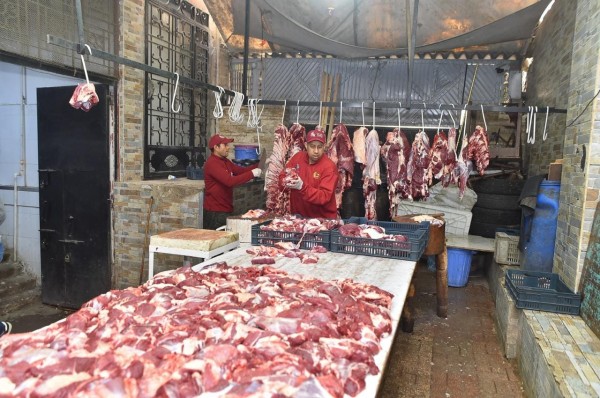 430210744_800080152164241_6516022037741639266_n