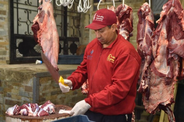 430252251_800079762164280_8477770384556298493_n