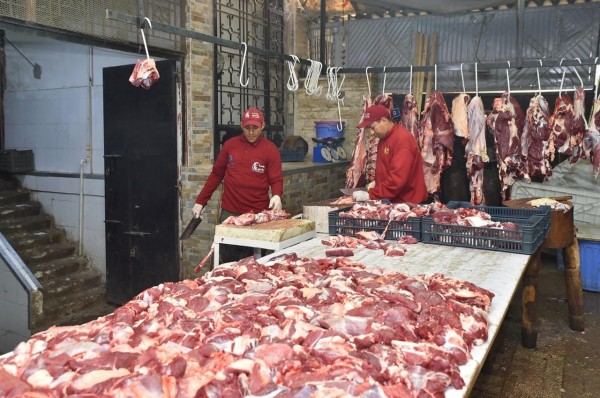 430252504_800080112164245_2245858695050837282_n