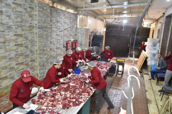 430266195_800079835497606_2189682593345085543_n