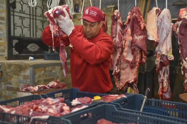 430296956_800080042164252_7533683814106787378_n